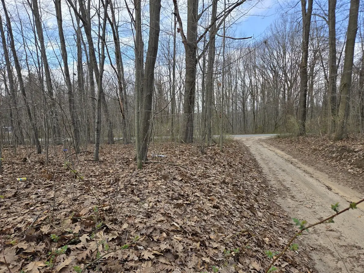 VL 8th, Grand Junction, MI 49056 - #1