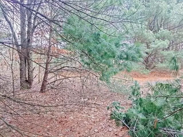 V/L Frost, Muskegon, MI 49442 - #2