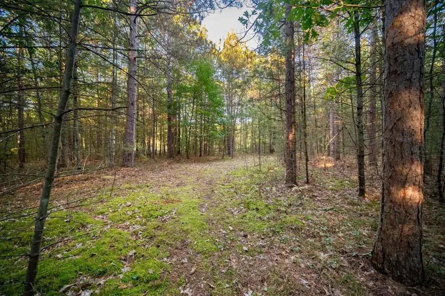 North Wildwood, Manistee, MI 49660 - #2