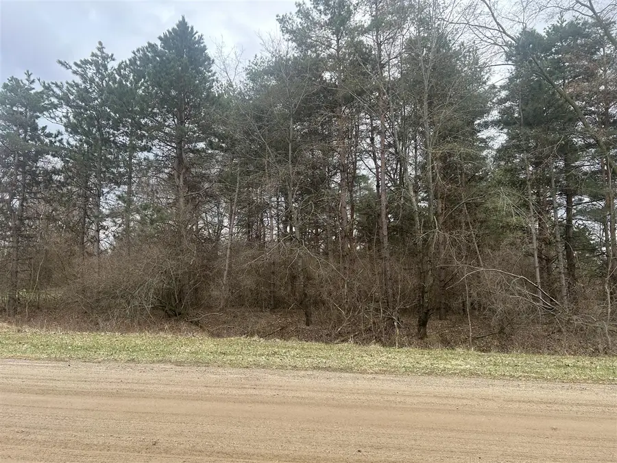 W Ranger, Perrinton, MI 48871 - #2