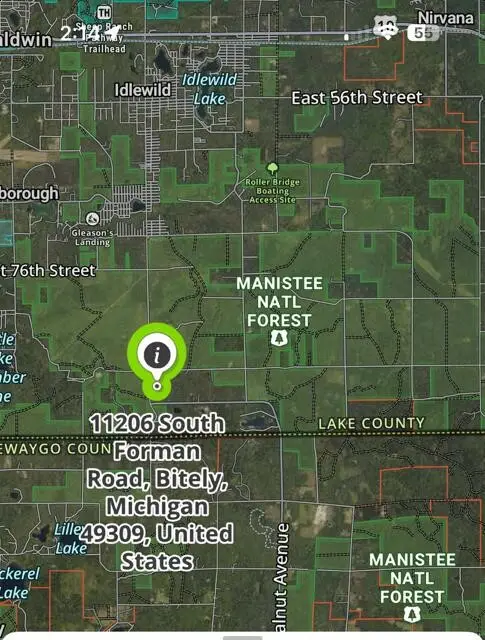 11206 S Forman, Idlewild, MI 49642 - #1