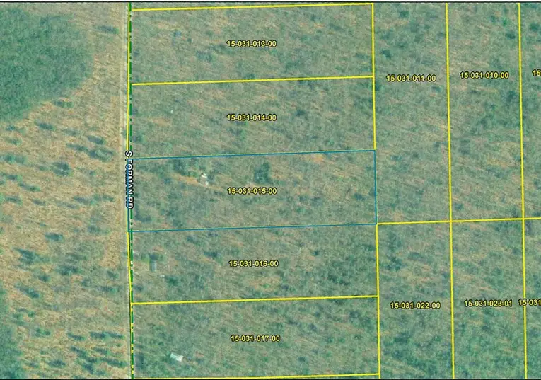 11206 S Forman, Idlewild, MI 49642 - #2