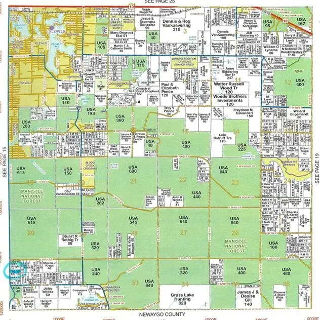 11206 S Forman, Idlewild, MI 49642 - #3