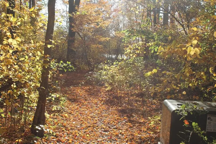 Vl Lake, Allegan, MI 49010 - #2