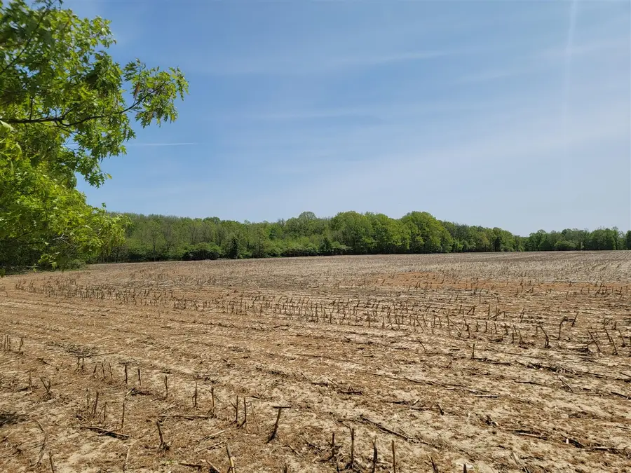 Leonard, Nunica, MI 49448 - #2