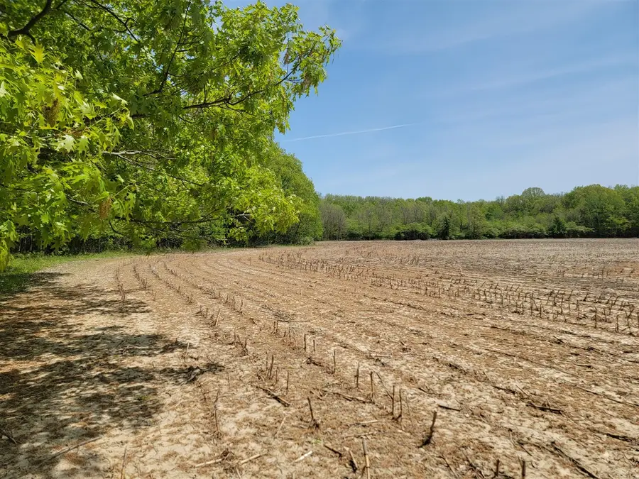 Leonard, Nunica, MI 49448 - #3