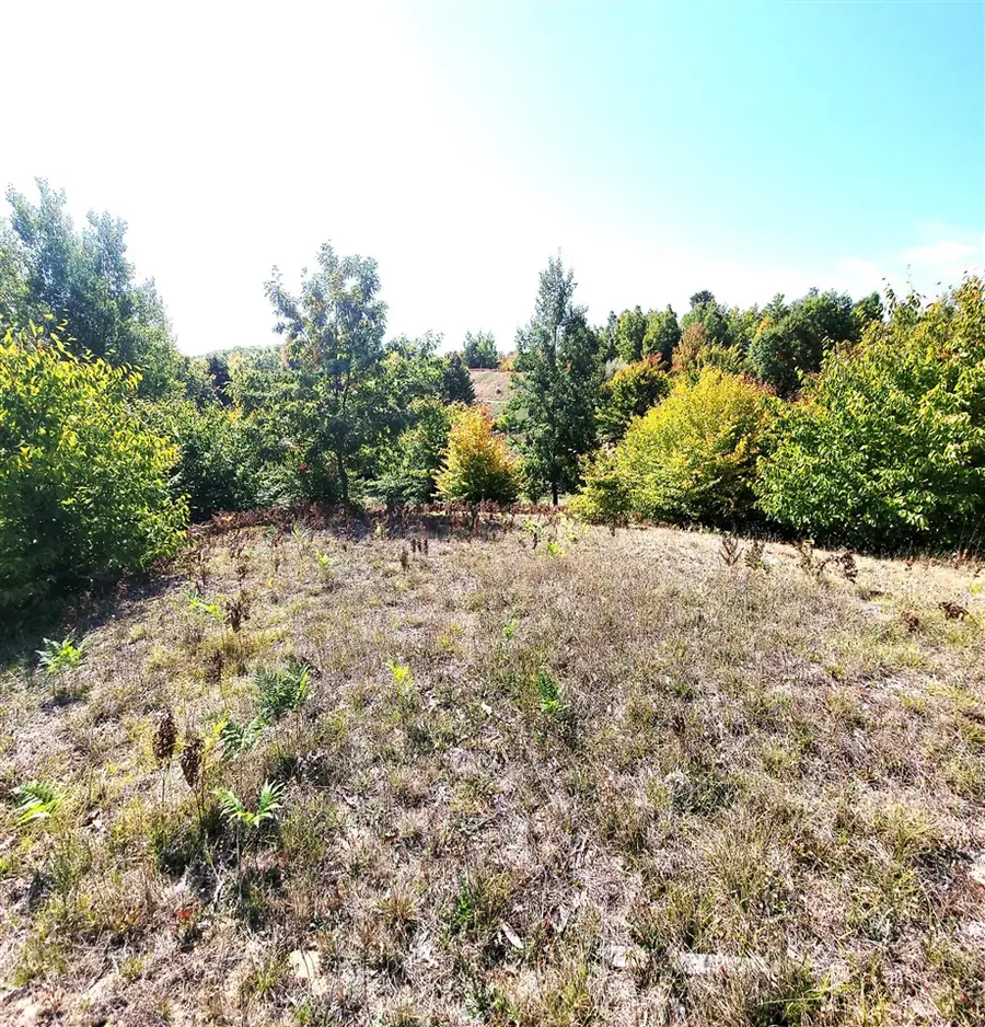 Eagle Ridge, Onekama, MI 49675 - #3