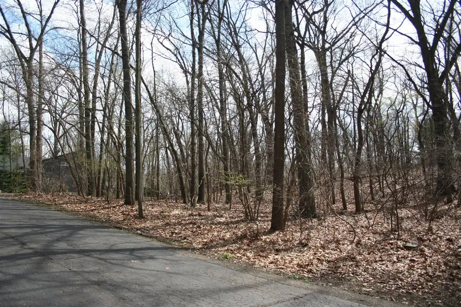 14386 Wolf, New Buffalo, MI 49117 - #2