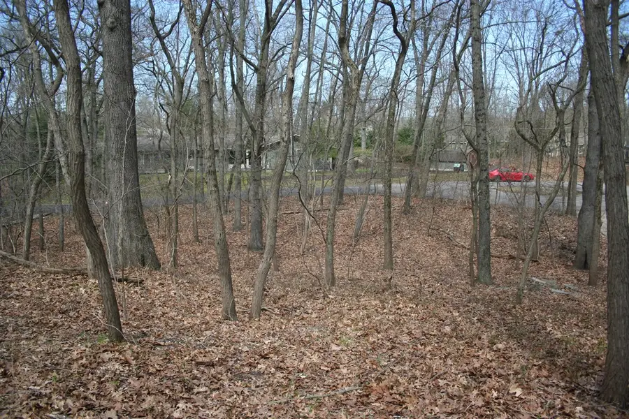 14386 Wolf, New Buffalo, MI 49117 - #3