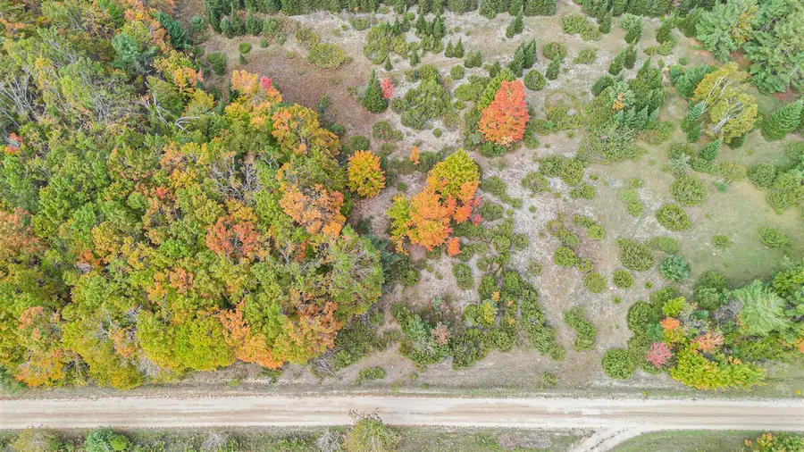 V/L Trout Creek, Cheboygan, MI 49721 - #3
