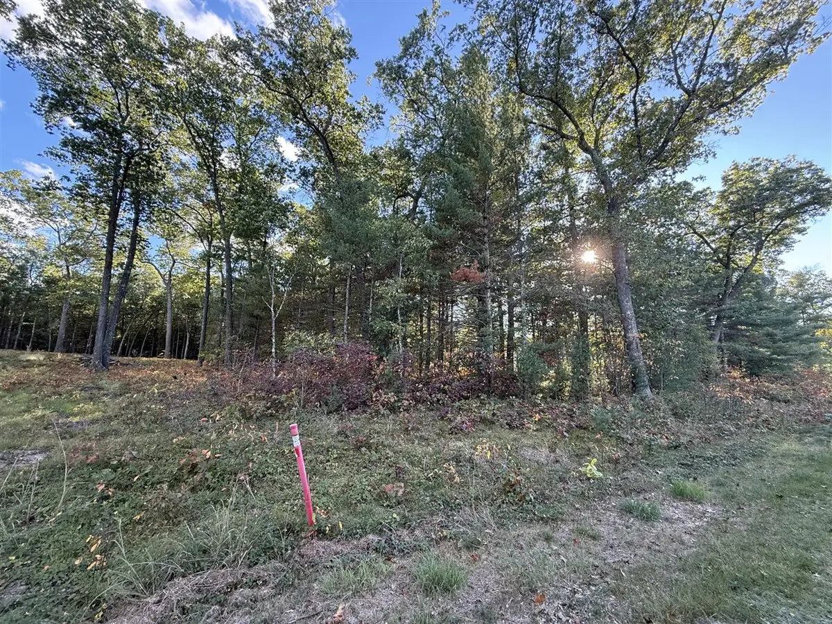 1127 Chicago, Whitehall, MI 49461 - #1