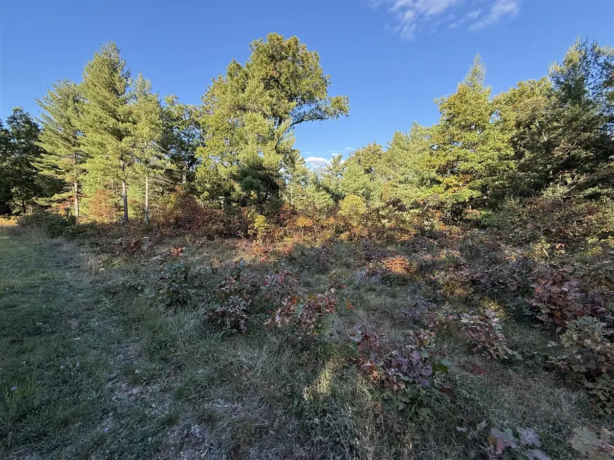 1220 Sydney, Whitehall, MI 49461 - #1