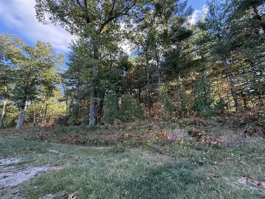 1220 Sydney, Whitehall, MI 49461 - #2