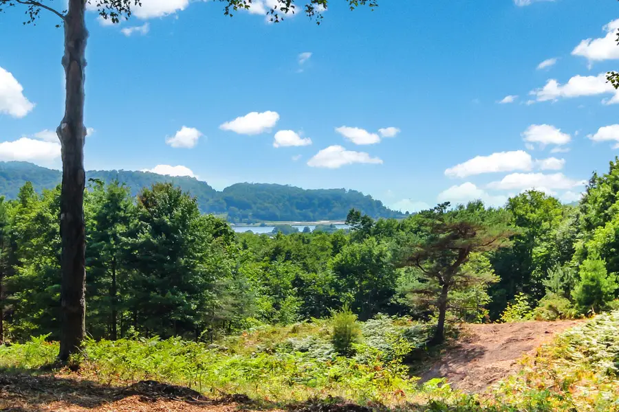 0000 Day, Frankfort, MI 49635 - #2