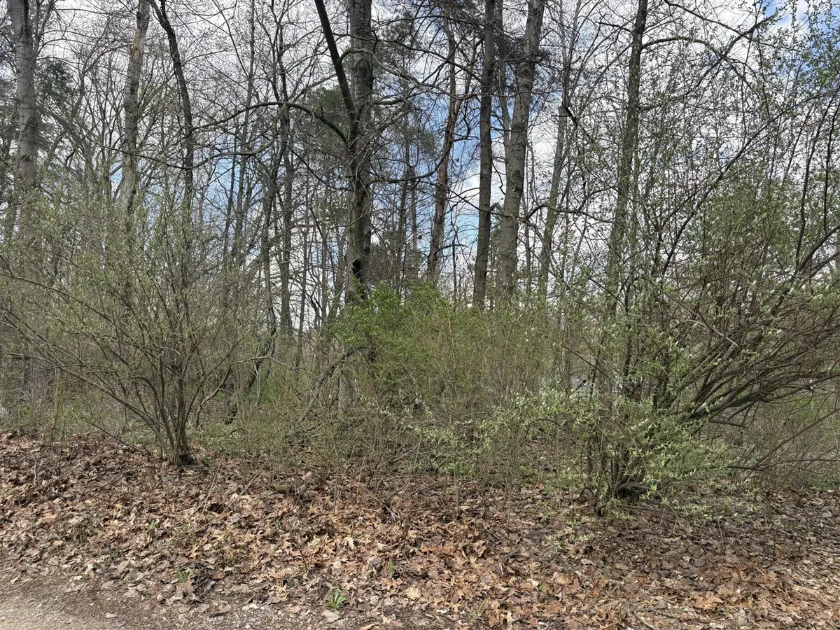 8113 Poplar, Reading, MI 49274 - #1