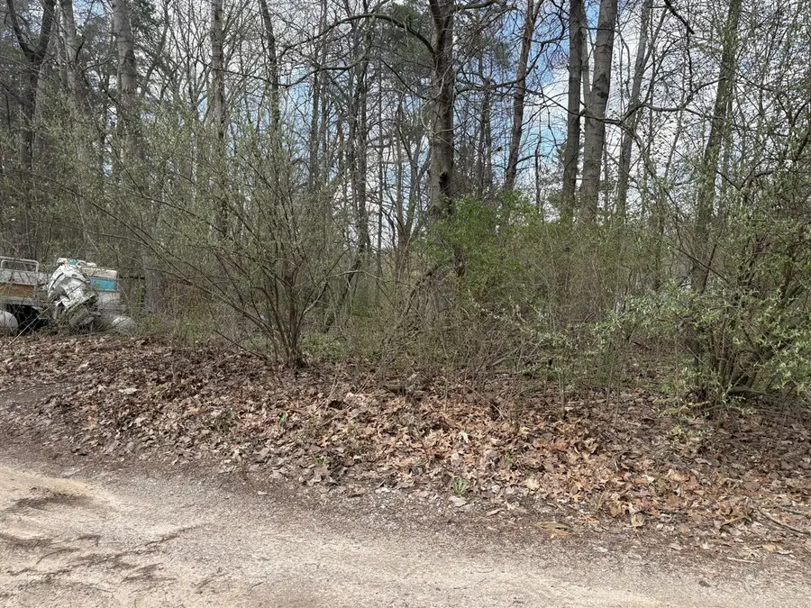 8113 Poplar, Reading, MI 49274 - #2