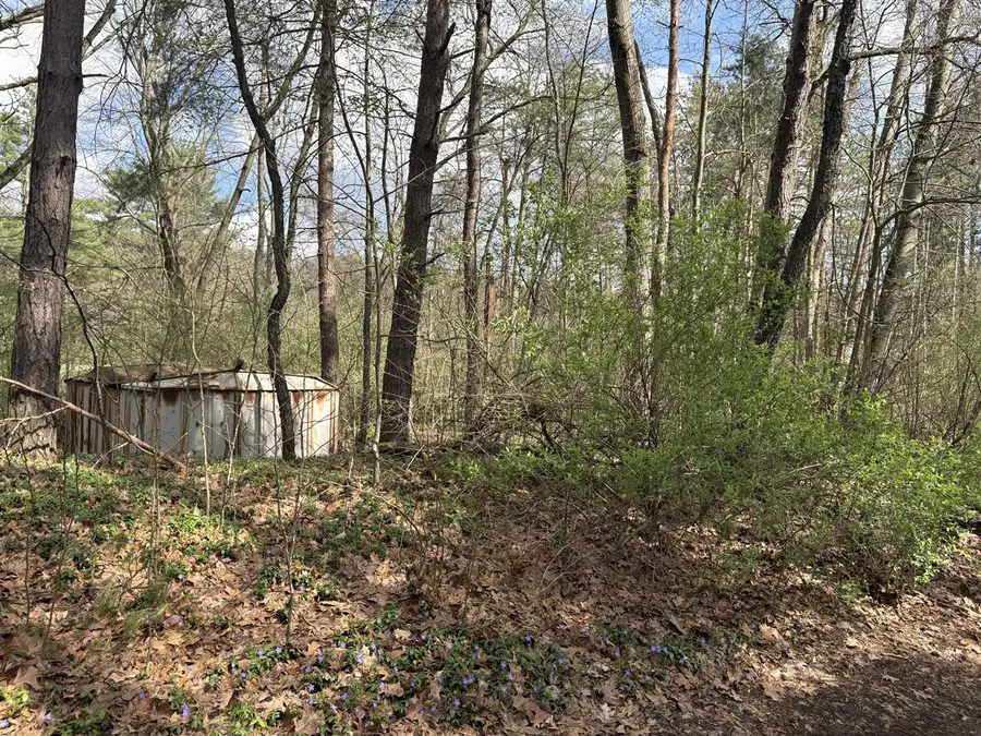 8113 Poplar, Reading, MI 49274 - #3