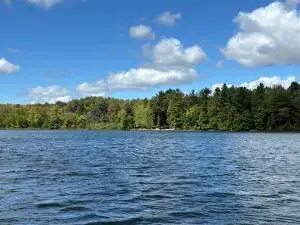 V/L N 176th, Walkerville, MI 49459 - #2