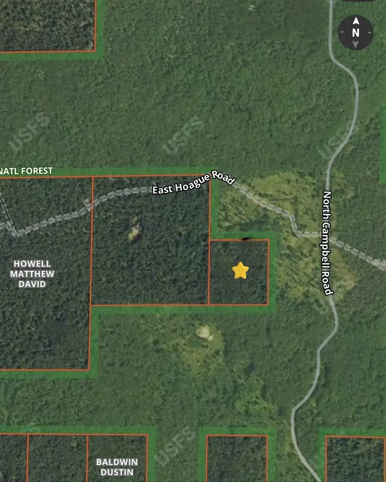 V/L E Hoague, Free Soil, MI 49411 - #1