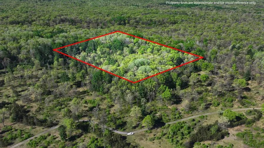 V/L E Hoague, Free Soil, MI 49411 - #3