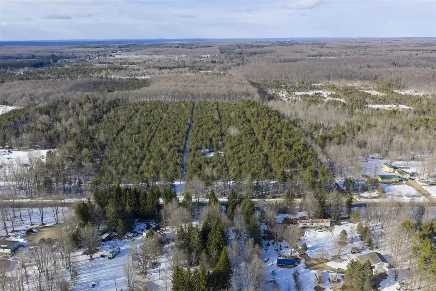 23444 Faylor, Copemish, MI 49625 - #2