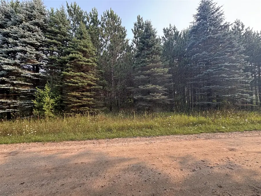 Stonehouse Shores Rd, Hersey, MI 49639 - #2