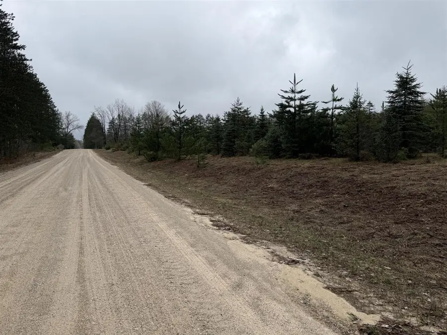 0 N Van Dermullen, Lake City, MI 49651 - #2