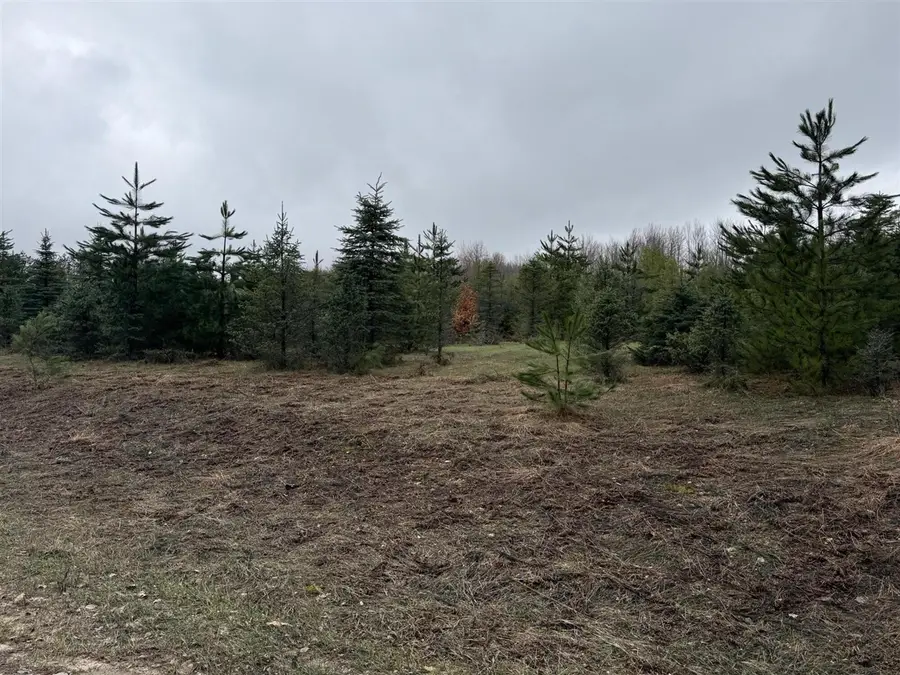 0 N Van Dermullen, Lake City, MI 49651 - #3