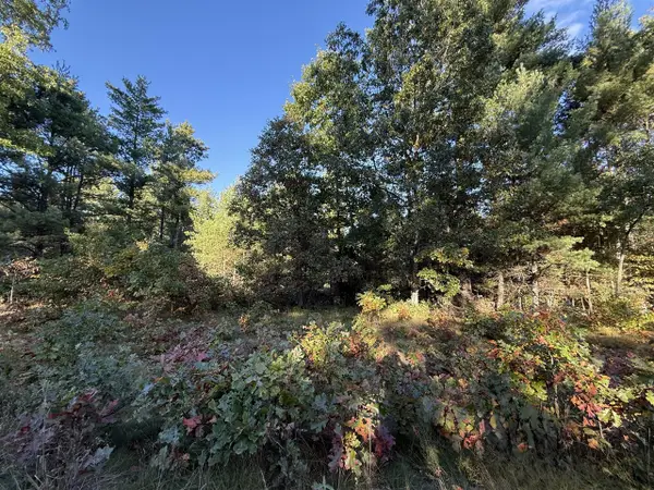 1242 Sydney, Whitehall, MI 49461