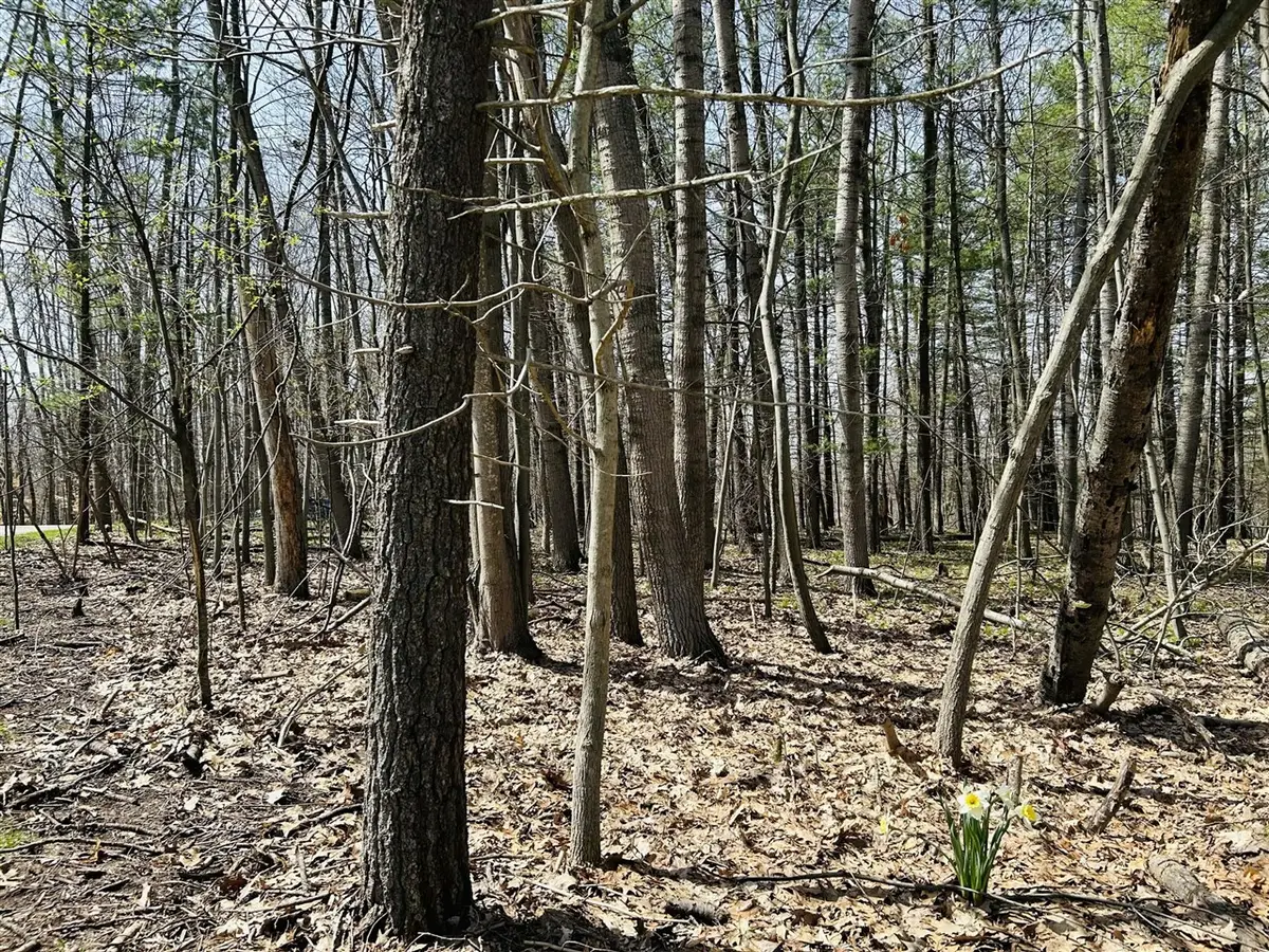 6718 Beechnut, Canadian Lakes, MI 49346 - #1