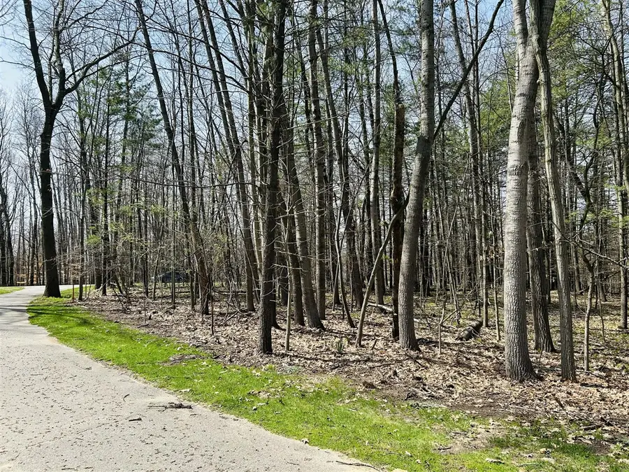 6718 Beechnut, Canadian Lakes, MI 49346 - #2