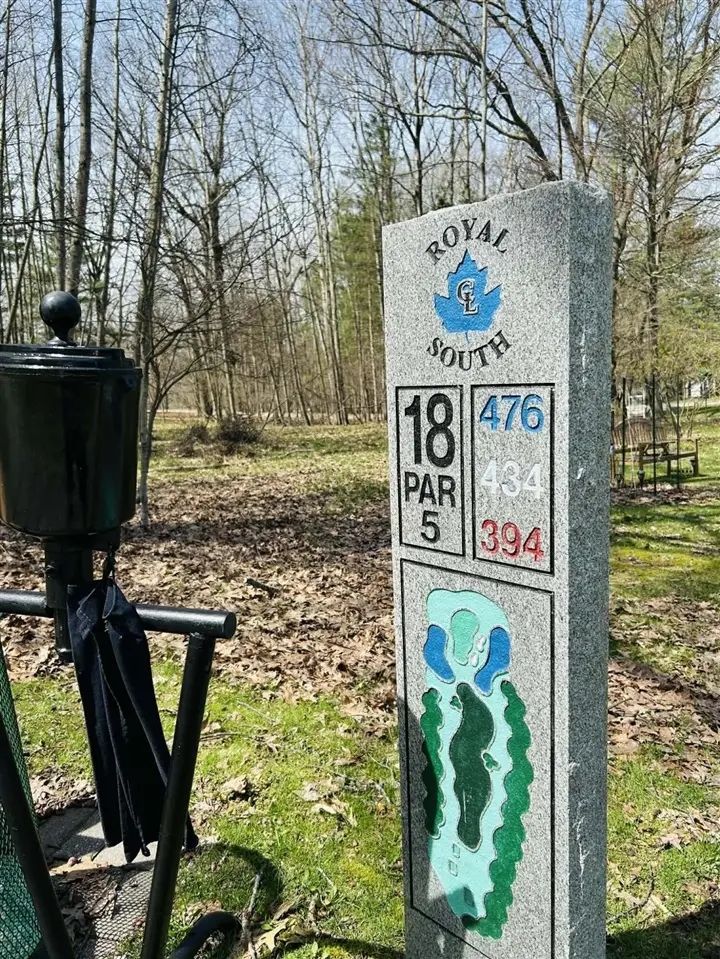 6718 Beechnut, Canadian Lakes, MI 49346 - #3