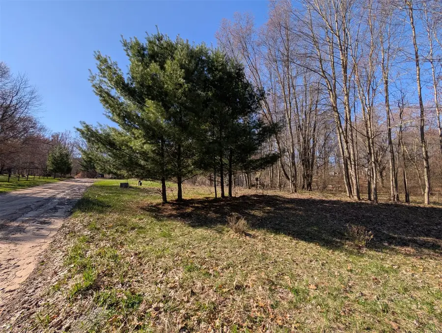 6465 Fox Den, Custer, MI 49405 - #2