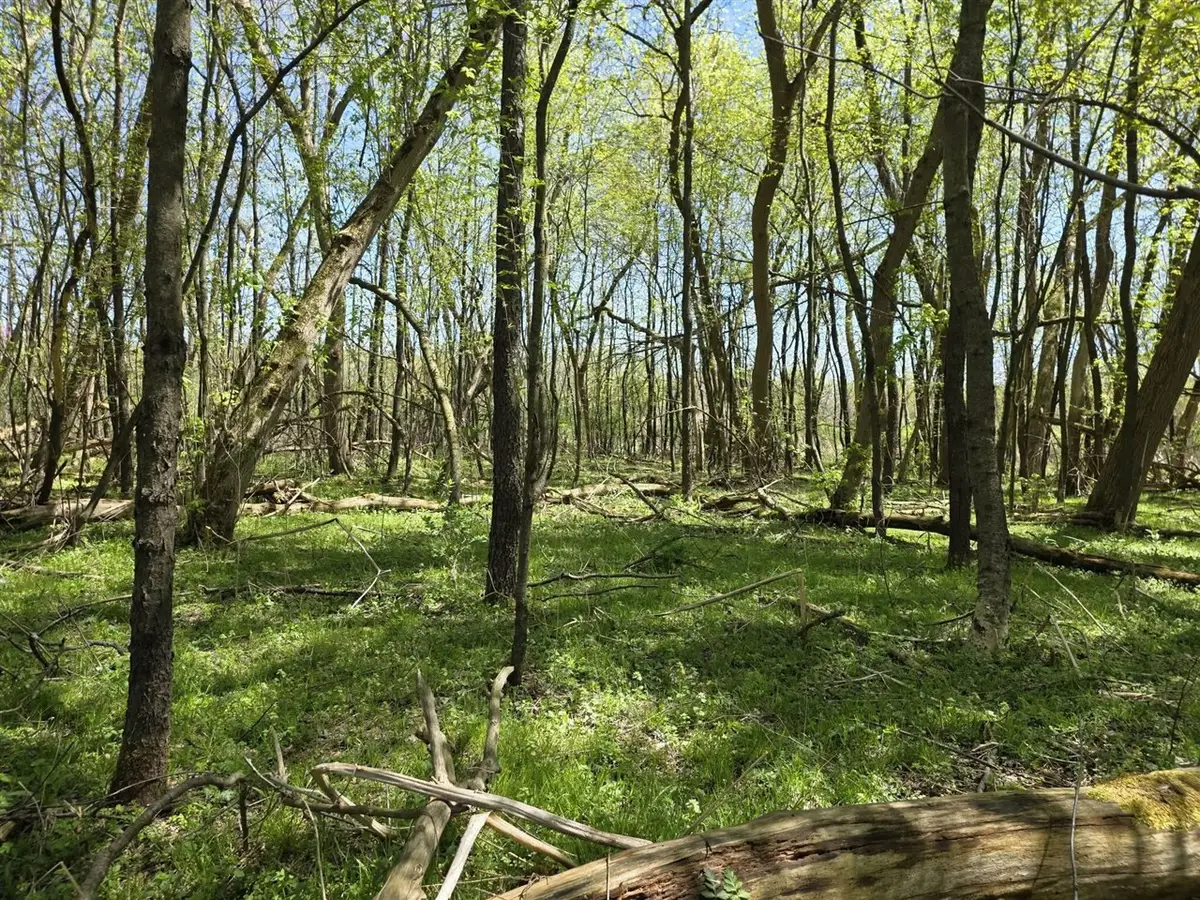 V/l Bellevue, Bellevue, MI 49021 - #1