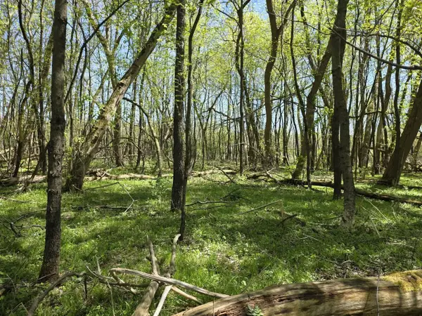 V/l Bellevue, Bellevue, MI 49021