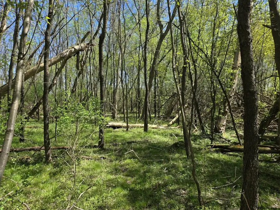 V/l Bellevue, Bellevue, MI 49021 - #2