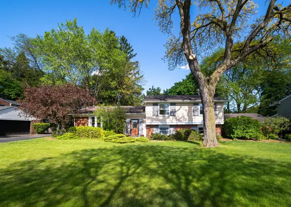539 S Sheldon, Plymouth, MI 48170