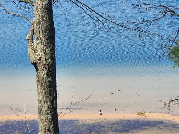 10962 S Minising, Baldwin, MI 49304