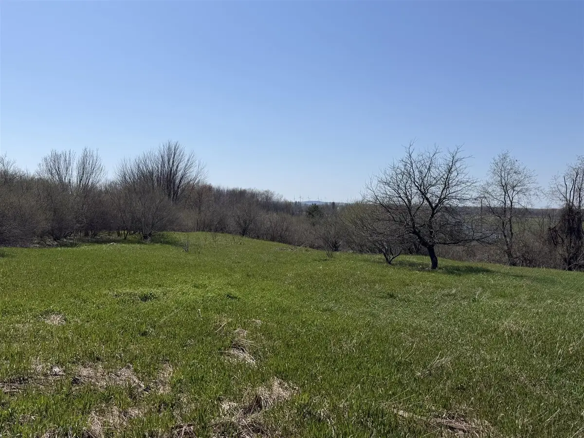 4422 S Ordway, Custer, MI 49405 - #1