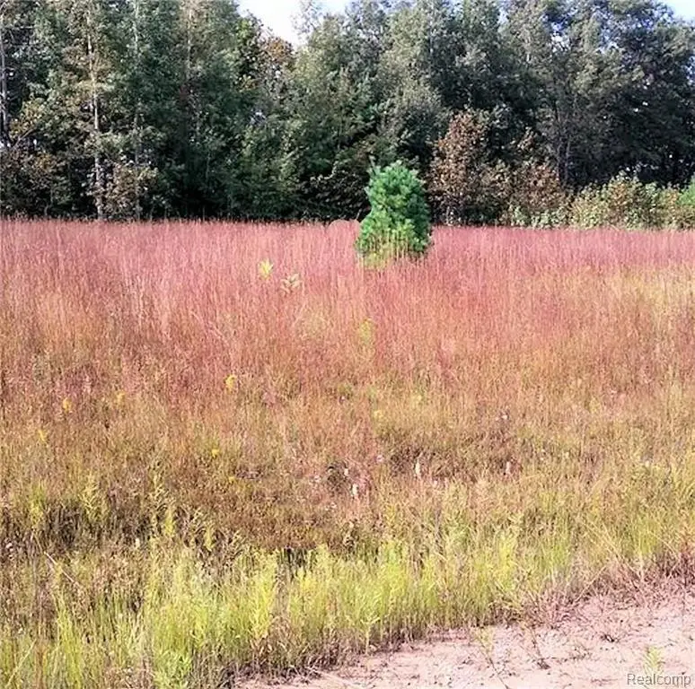 Westwood, Oscoda, MI 48750 - #2