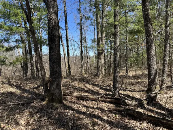 00 S Dillard, Baldwin, MI 49304