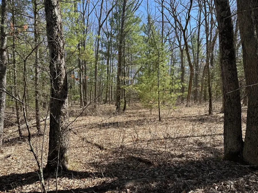 00 S Dillard, Baldwin, MI 49304 - #2