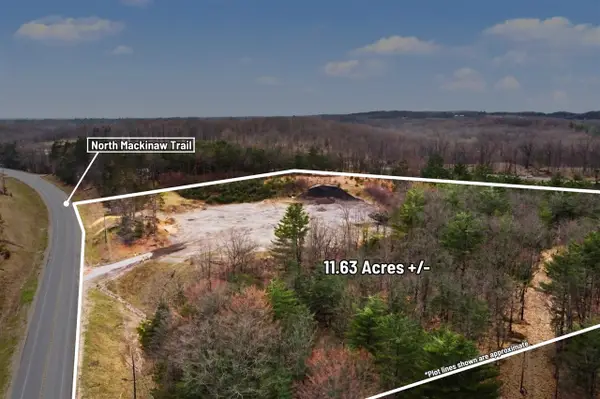 VL N Mackinaw, Manton, MI 49663