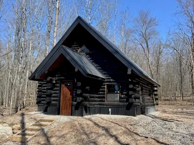 10338 Alpine, Reed City, MI 49677 - #3