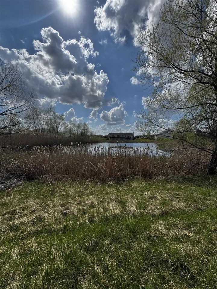 9871 Crane, Milan, MI 48160 - #3