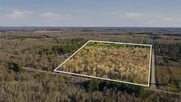 123 Beyer, Free Soil, MI 49411