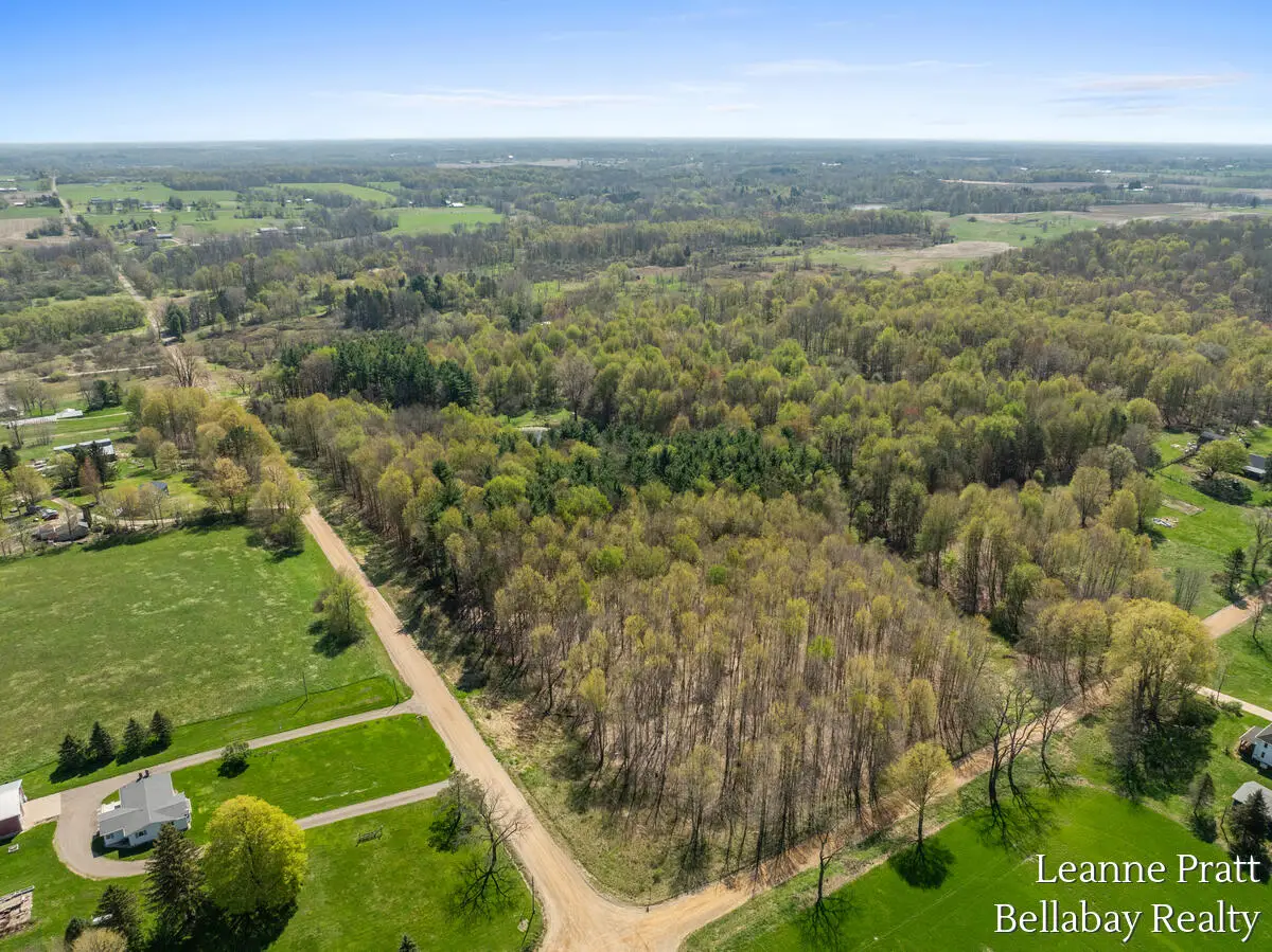 VL N Pease, Vermontville, MI 49096 - #1
