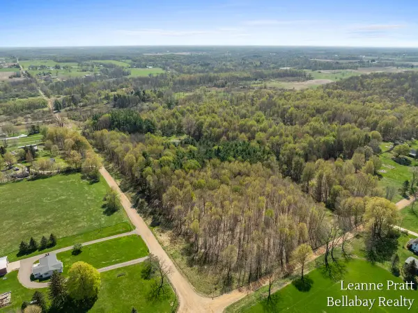 VL N Pease, Vermontville, MI 49096