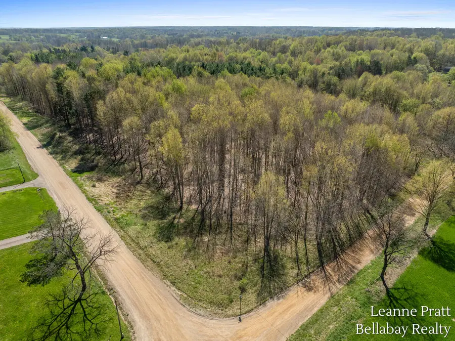 VL N Pease, Vermontville, MI 49096 - #3