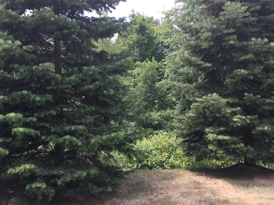 20209 Chesapeake, Walled Lake, MI 48390 - #3